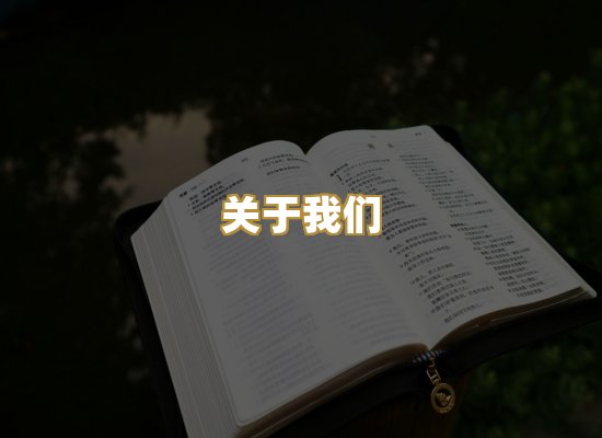 关于我们